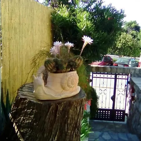Green Harmony - Studio With Terrace And Shared Swimming ... * Mlini